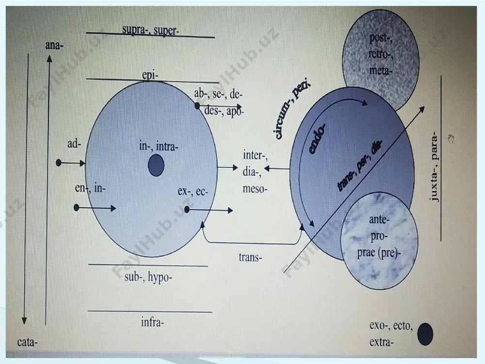 phonendoscopus - Page 2