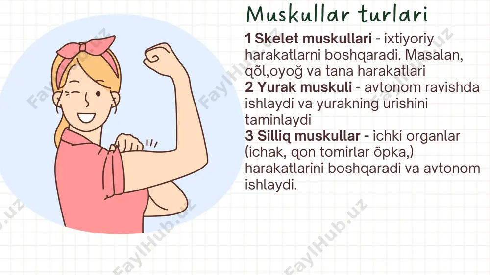 muskullar haqida umumiy ma'lumot - Page 3