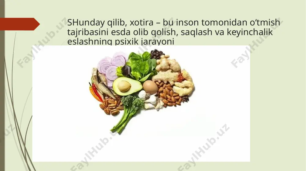 xotira, xotiraning nerv fiziologik asoslari - Page 5