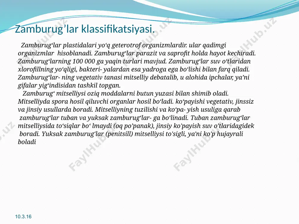 ' payadi. zamburug’larda 2 ta shtamm mavjud.+shtamm va -shtamm. bir- biriga yagin joylashgan "+" va "“ shtammli zamburug' gifalari bir-biriga garab o 'sadi. ularning uchlari tutashib orasida to’siq hosil bo ladi. so'ngra bu to 'siq eriydi va ularming yadrolari bir- biriga qo'shilib zigota hosil bo’ladi. bu zigota zigospora ham deyiladi. chunki u tinim davridan o'tishga moslashgan bo'lib, galin po'st bilan o'ralgan.qulay sharoitga tushgan zigasporadan mevatana,sporangiyband, sporangiylar o 'sib chigadi. sporangiyda sporalar yetiladi. bu sporalardan mog 'or zamburug’i hosil bo'ladi va jinsiz ko'payishda davom etadi. jinsiz ko payishda hosil bo 'lgan sporalar bir xil shtammli, jinsiy ko payishda esa har xil shtammli sporalar hosil bo 'ladi. 10.3.16 penitsillin. penitsillin-kimyoviy tuzilishi bir-biriga yaqin tabiiy va yarim sintetik antibiotiklar guruhi. tibbiyot amaliyotida ilk bor qoʻllanilgan, p.ni penicillium turkumiga mansub zamburugʻlar ishlab chiqaradi. 1928- yilda amerika bakteriologi a. fleming zamburugʻlarning bakteriyalarga taʼsir etuvchi xossasi borligini tasodifan aniqlagan. ammo, faqat 1941-yilda a. fleming, ingliz patologi …