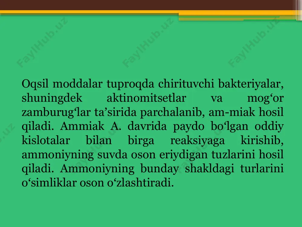 ammonifikatsiya jarayonlari - Page 4