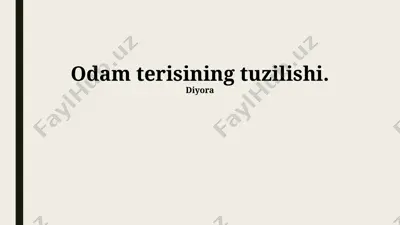 odam terisining tuzilishi — PPTX