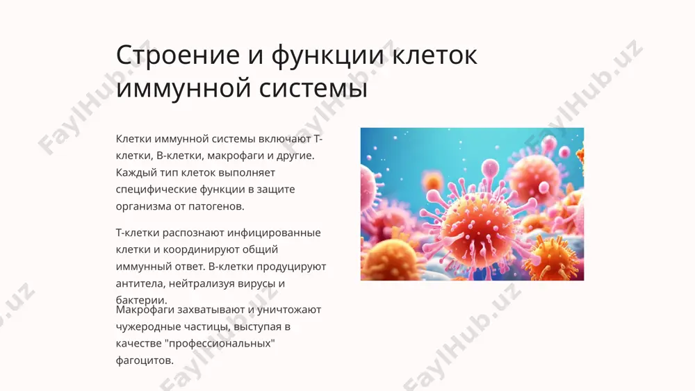 е иммунной системы иммунодефицит снижение или нарушение функций иммунной системы, которое повышает восприимчивость к инфекциям и болезням. гиперактивность избыточная реакция иммунной системы, приводящая к аутоиммунным заболеваниям и хроническому воспалению. аллергические реакции неадекватный иммунный ответ на безопасные вещества, вызывающий симптомы аллергии. 9 иммунный ответ на патогены 1 распознавание распознавание патогенов иммунной системой 2 активация активация иммунных клеток для борьбы с патогеном 3 элиминация уничтожение или нейтрализация патогена 4 память формирование иммунологической памяти для быстрого ответа в будущем когда иммунная система распознает патоген, она активирует различные иммунные клетки, такие как т-клетки, в-клетки и фагоциты, чтобы элиминировать или нейтрализовать угрозу. это приводит к воспалительному процессу, который помогает удалить патоген. успешное устранение патогена ведет к формированию иммунологической памяти для более быстрого ответа в будущем. 10 нарушения иммунной системы иммунодефицит недостаточность иммунной системы, которая снижает способность организма противостоять инфекциям и заболеваниям. аутоиммунные нарушения иммунная система ошибочно атакует собственные здоровые ткани, что приводит к возникновению аутоиммунных …