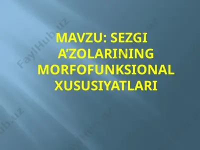 sezgi a’zolarining morfofunksional xususiyatlari — PPTX