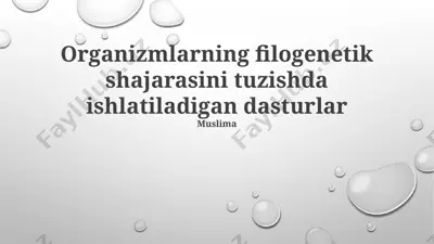 organizmlarning filogenetik shajarasini tuzishda ishlatiladigan dasturlar — PPTX
