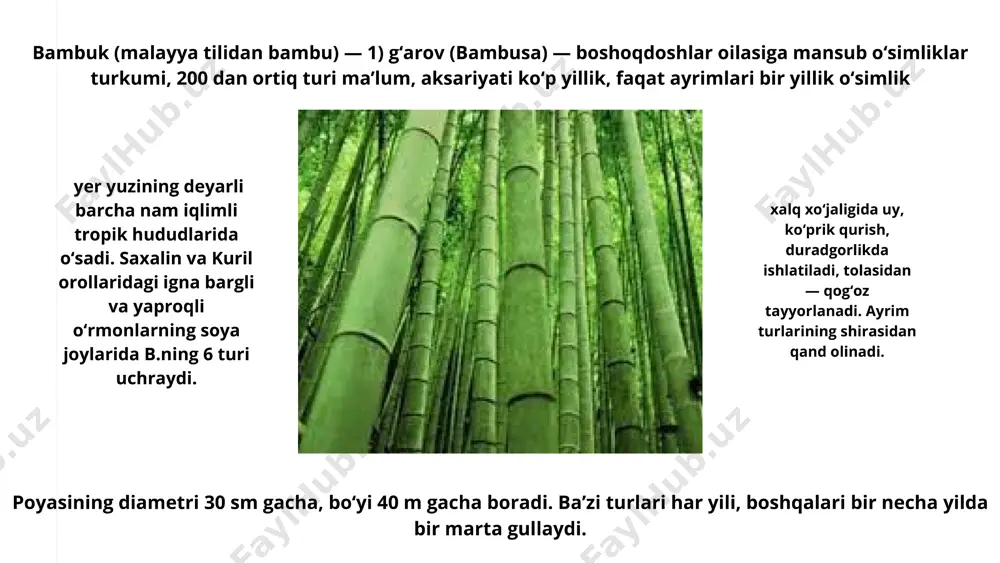 pandalar - Page 3