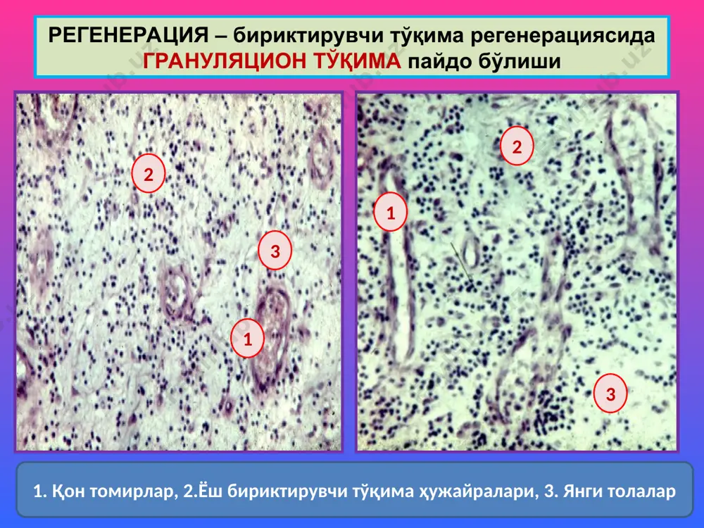 мосланиш-ўрин алмашиниш жараёнлари - Page 4