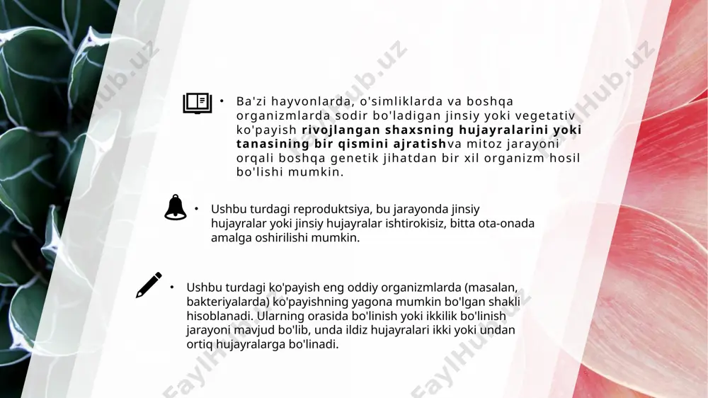 izpoyadan (qoqi, malina) iborat bo`lishi mumkin,ba’zi o`simliklar (tol,terak) juda ham osonlik bilan ildiz chiqaradi,ammo, ayrim o`simliklar (masalan, chakanda,atirgul) qiyinchilik bilan ildiz chiqaradi. bunday o`simliklarning qalamchalari geteroauksin degan modda eritmasida (12 -24 soat) ushlanib, ularning ildiz olishlari tezlashtiriladi. qishloq xo`jalik amaliyotida juda ko`p mevali va manzarali o`simliklar (daraxt,buta va o`tchil o`simliklar) qalamchalar vositasida ko`paytiriladi. bu usul bilan olingano`simlik, urug`dan ko`paytirilgan o`simlikka nisbatan tez hosilga kirib, nav xususiyatlari to`liq saqlanadi. madaniy oʻsimliklarni vegetativ koʻpayishi. qalamcha yordamida anor, anjir, tok, terak, jiyda, malina, atirgul kabi oʻsimliklarni koʻaytirish mumkin. tokdan kuzda kesish vaqtida 45-50 sm uzunlikdagi qalamchalar tayyorlanib nam yerga koʻmib qoʻyiladi. erta bahorda kaltaklar olinib maydonlarga ekiladi. tuganaklari orqali koʻpayadigan oʻsimliklar ham bor. tokdan kuzda kesish vaqtida 45-50 sm uzunlikdagi qalamchalar tayyorlanib nam yerga koʻmib qoʻyiladi. erta bahorda kaltaklar olinib maydonlarga ekiladi. tuganaklari orqali koʻpayadigan oʻsimliklar ham bor. bularga kartoshka, batat, shoyigul kiradi. payvandlash deb bir oʻsimlikning bir qismini ikkinchi oʻsimlikka oʻrnatishga aytiladi. …