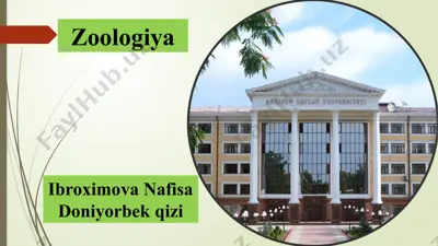 suyakli baliqlarning tashqi va ichki tuzilishi — PPTX