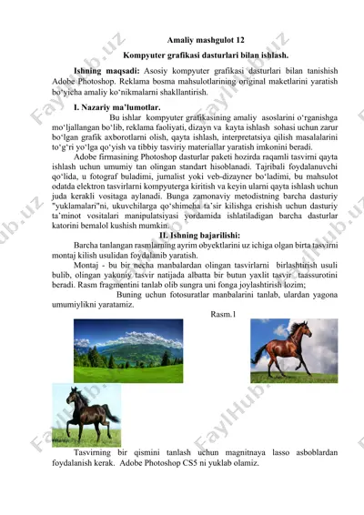 kompyuter grafikasi dasturlari bilan ishlash — DOCX