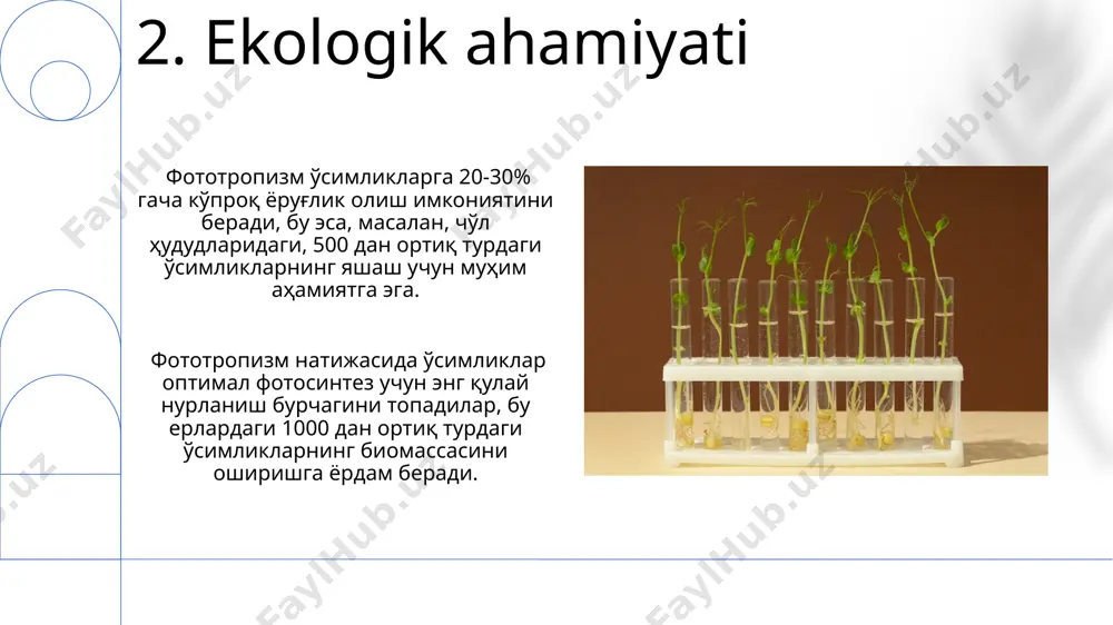 fototropizm tushunchasi - Page 4