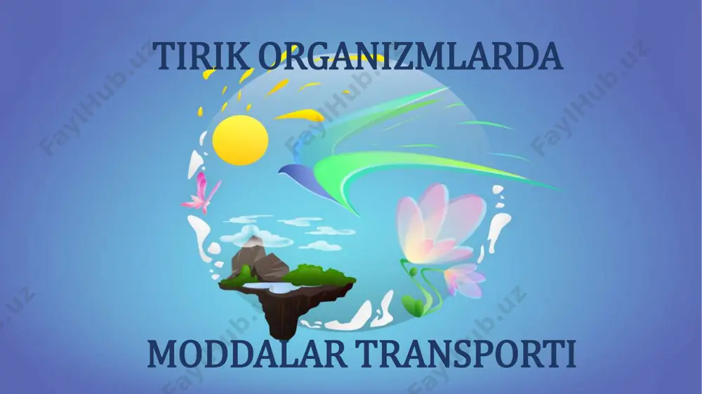itma hisoblanadi. • eritrotsit hujayrasining ichidagi va tashqarisidagi konsentratsiya bir xil bo‘lgani uchun bu eritma izotonik eritma deyiladi. izotonik eritmada eritrotsitning tabiiy holati o‘zgarmaydi. • 0,9 % dan yuqori osh tuzi eritmasi gipertonik eritma bo‘lib, bunday • muhit da eritrotsitdagi suv tashqariga chiqadi va eritrotsit bujmayib qoladi. • 0,9 % dan past osh tuzi eritmasi gipotonik eritma bo‘lib, bunda suv hujayra ichiga kiradi va eritrotsitning yorilishiga olib keladi. eritrotsitlardagi osmos hodisasi ildizning suv shimishini tushunish uchun uning ichki tuzilishini o‘rganish muhim. • ildiz o‘simlikning yer ostki organi bo‘lib, quyidagi zonalardan iborat. • 1. o‘tkazuvchi zona – suv va unda erigan moddalarni poyaga o‘tkazib beradi. • 2. so‘ruvchi zona – ildiz tukchalari joylashgan. bitta tukcha bitta hujayradan iborat, 10–20 kun yashaydi. ildiz o‘sib, tuproqqa kirgani sari pastki qismida tukchalar hosil bo‘lib, yuqori qismidagilari halok bo‘lib boraveradi. ildiz tukchalari suvni tuproqdan shimib oladi. • 3. o‘suvchi zona – hujayralar o‘sib kattalashadi va …