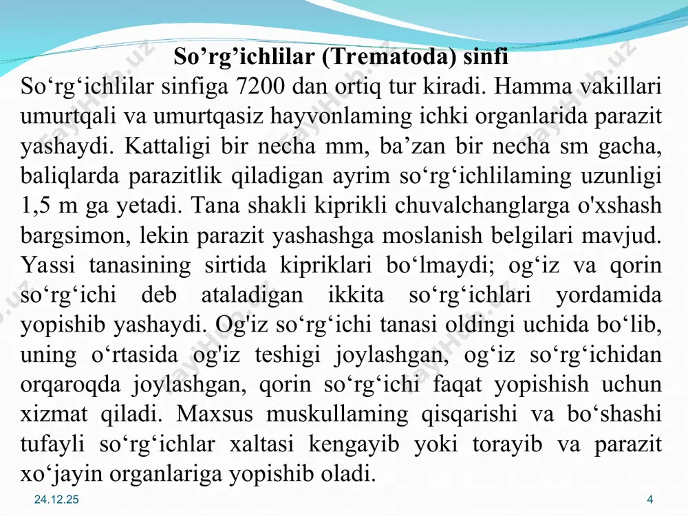 ahira oziq modda glikogen to'planadi. sariqdon hujayralari tuxum hujayrani o'rab oladi. sariqdon hujayralari ajratadigan maxsus modda bu hujayralar sirtida qattiq po'choq hosil qiladi. yetilgan tuxum bachadonga tushadi; u joydan tashqi muhitga chiqib ketadi. * * * * * * rivojlanishi. so‘rg‘ichlilaming hayot sikli juda murakkab bo'lib, nasi almashinish orqali boradi. jigar qurti (fasciola heratisa)ning rivojlanishi quyidagicha boradi. so'rg'ichlilaming voyaga yetgan davri marita deyiladi. jigar qurtining maritasi jigaming o't yo'llarida parazitlik qiladi va shu joyga tuxum qo'yadi. tuxumlari o't yo'li orqali ichakka, so'ngra xo'jayini axlati bilan tashqi muhitga chiqib ketadi. tasodifan suvga tushib qolgan tuxumlardan kipriklar bilan qoplangan mikroskopik lichinka - miratsidiy rivojlanib chiqadi. miratsidiyning ikkita oddiy ko'zchasi, nerv gangliysi va bir juft protonefdiylari bo'ladi miratsidiyning tanasi keyingi qismida maxsus partenogenetik tuxumlari, ya’ni murtak hujayralar bo'ladi. lichinka tanasining oldingi uchida kichikroq muskulli xartum bor. xartum uchiga maxsus lichinka bezining yo'li ochiladi. miratsidiy o'z tanasidagi zahira glikogen hisobiga yashaydi. miratsidiyning bundan keyingi …
