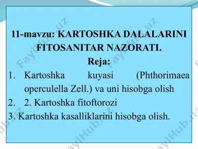 kartoshka fitosanitari nazorati — PPTX