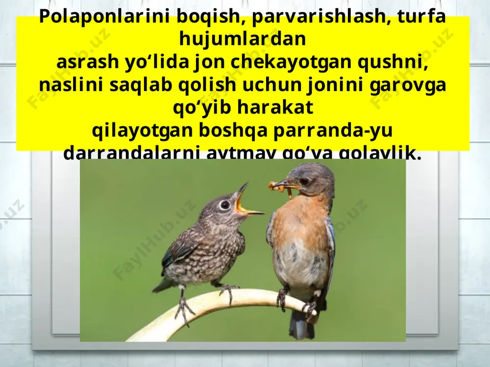 halol mehnat – ma’naviy yuksalish garovi 9 - sinf - Page 5