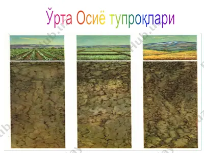ўрта осиё тупроқлари — PPTX