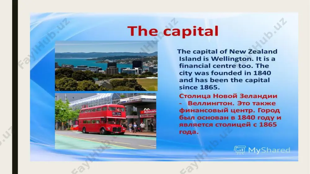 new zealand presentation - Page 4