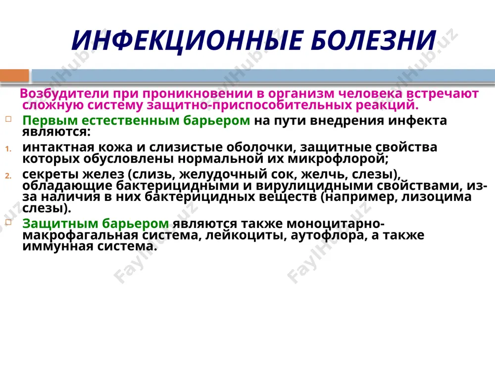 пителии дыхательных путей обнаруживается вакуольная дистрофия с последующим их некрозом, отслойка поверхностных слоев клеток, содержащих вирусный антиген. в мазках-отпечатках со слизистой оболочки при иммунофлюоресцентном исследовании в клетках цилиндрического эпителия обнаруживаются флюоресцирующие вирусные антигены. при гриппе, осложненном вторичной бактериальной инфекцией (особенно стафилококковой), выраженность воспалительных и деструктивных процессов нарастает. для вирусно-бактериального поражения характерны гнойно-некротические, фибринозные трахеобронхиты, бронхиолиты, абсцедирующие пневмонии и плевриты. нарастание тяжести деструктивных процессов находит отражение в прогрессировании некротических изменений в верхних дыхательных путях, на различных уровнях бронхиального дерева. в легких возможно сочетание воспалительных очагов, различных по размерам и характеру экссудата, некротических фокусов, кровоизлияний и участков ателектаза. все это создает картину классического «большого пестрого гриппозного легкого» с вовлечением в процесс плевры (фибринозно-гнойный или некротический плеврит). осложнения и причины смерти. к числу наиболее частых осложнений относятся: пневмонии (вирусные, вирусно-бактериальные), токсические поражения почек с микрогематурией и протеинурией, токсический гепатит, острый средний отит, гайморит, гипертензивный синдром, токсическая энцефалопатия. основными причинами смерти являются: интоксикация, острое …