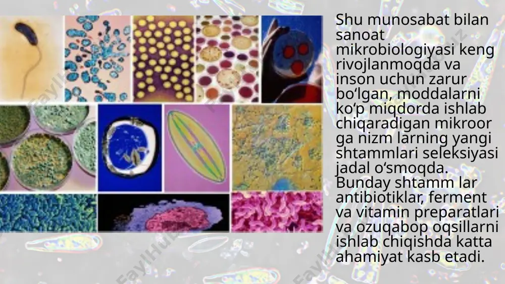 jpeg image9.jpeg image10.jpeg image11.jpeg image1.jpeg