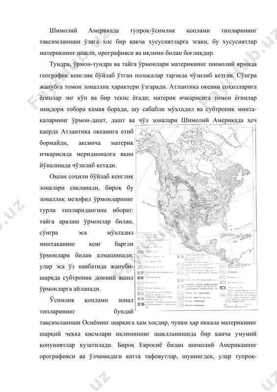 турига кўра евросиё тундраларидан кам фарқ қилади. шимолий қисмида мох-лишайник ўсимликлари ва полигонал тупроқлар билан қопланган арктик тундра устун туради. материкнинг жанубий қисми учун қиёқ ва бошоқли ўсимликлардан иборат ўт қоплами-ҳамда тундра-глейли тупроқларига хос паст бўйли дарахтлар: қайин: (betula gtandulosa), тол, зирк, чирмашиб ўсувчи эрика характерлидир. шунингдек, торфли ботқоқликлар ҳам кўп. гудзон қўлтиғидан ғарбда ўрмон-тундра полосасининг энг кенг жойи кузатилади. унда материк ўрмонларининг шимолий чегарасини ҳосил қилувчи дарахтлардан қора ва оқ ель (picea marlana ва р. glauca) ҳамда тилоғоч (larix laricina) ўсади. аляскада текислик тундраси скандинавия ярим оролидаги каби тоғлар ёнбағрида бевосита голецлар (тоғ ялангликлари ўсимликлари) ва тоғ тундраси билан алмашинади. шимолий американинг жуда катта майдонлари подзол тупроқларда ривожланувчи мўътадил минтақа нинабаргли ўрмонлар билан қопланган. улар тинч океан соҳилларини тахминан 61° ш. к. дан то 42° ш. к. гача эгаллаб, сўнгра кордильера тоғлари ёнбағирларининг пастки қисмларида давом этади ва улардан шарқда текисликка чиқади. 3. шимолий америка тупроқлари кордильера тоғларидан шарқда …