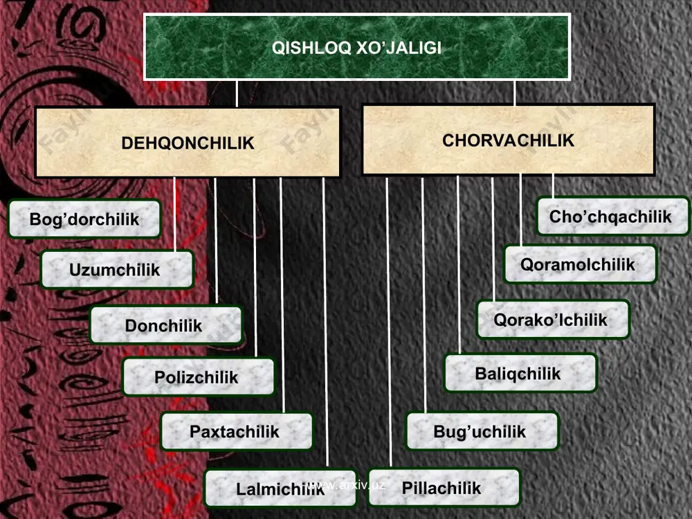 qishloq xo’jaligi geografiyasi - Page 3