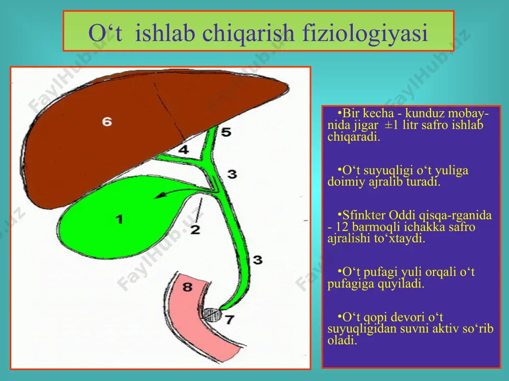o‘t tosh kasalligi - Page 4