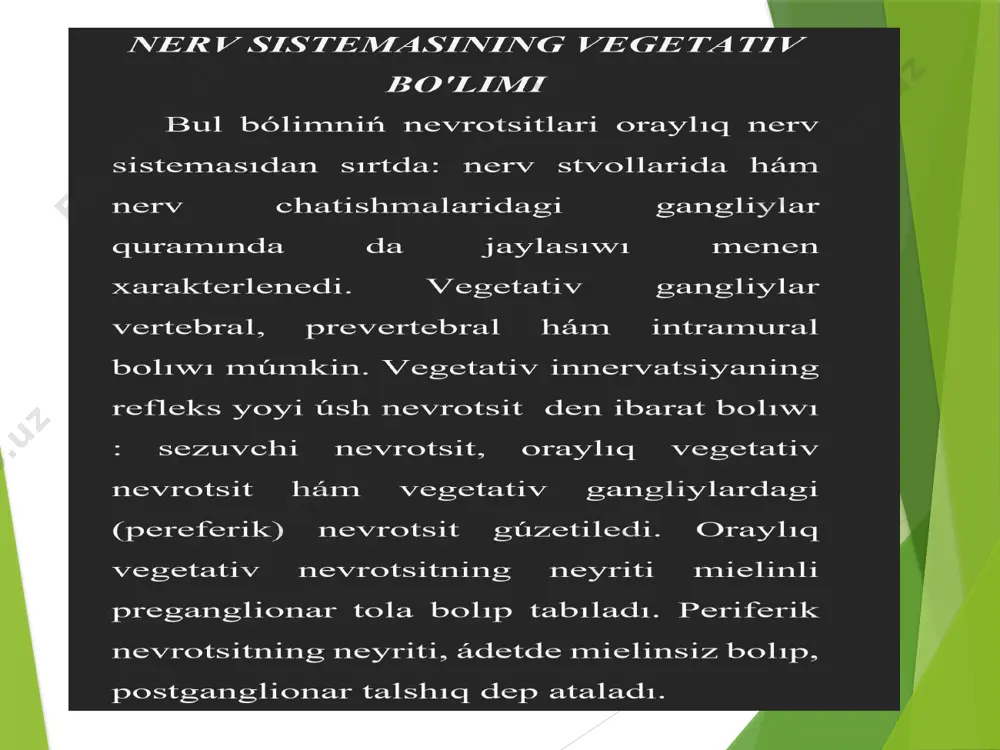 nerv sistemasi ha’m sezgi organlardin filogenezi - Page 5