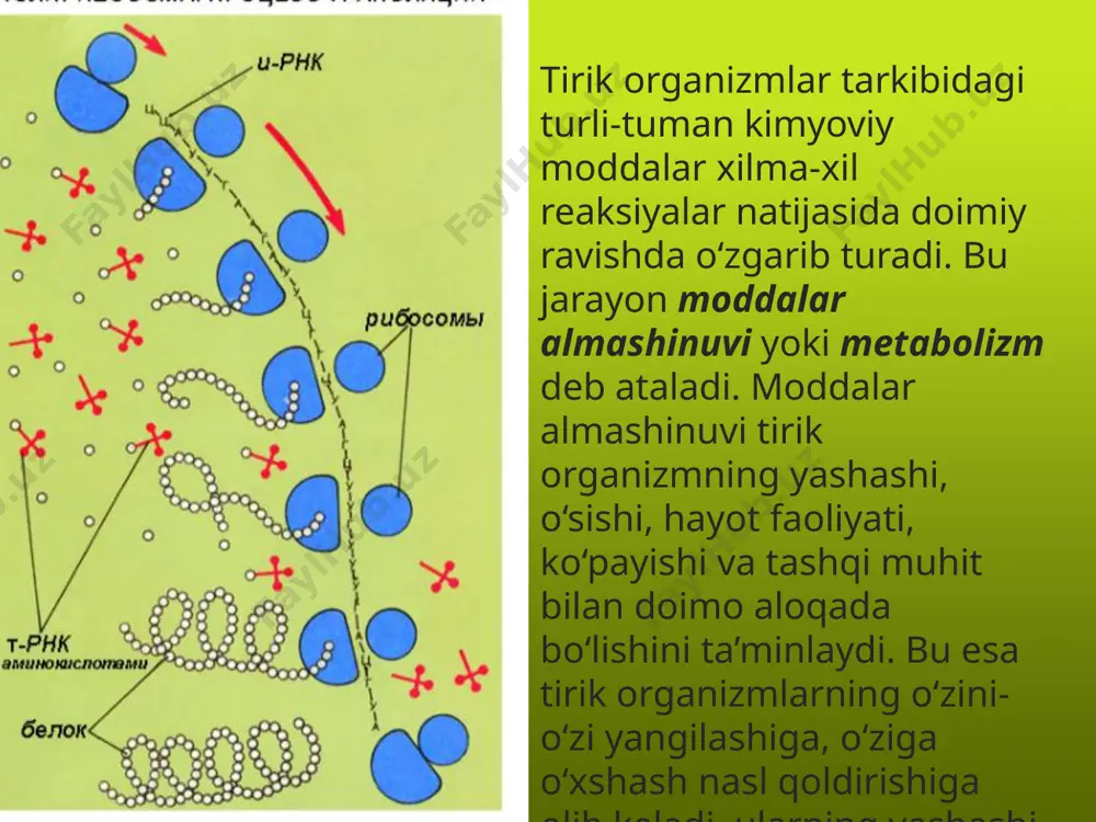 moddalar almashinuvi. 9 - sinf - Page 3