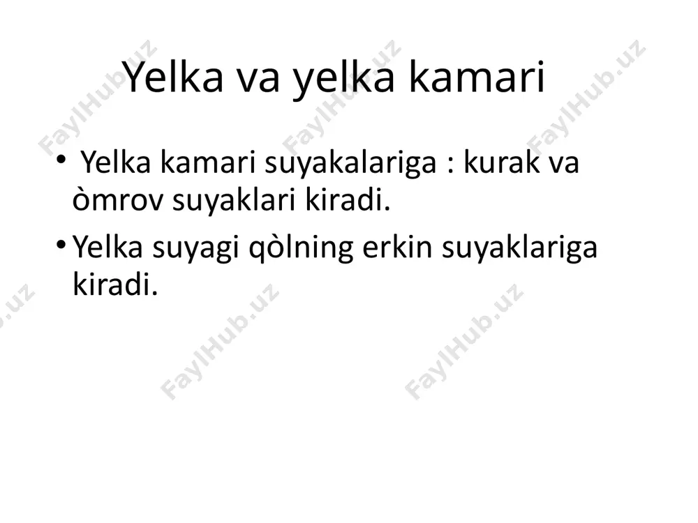 yelka va yelka kamari - Page 2