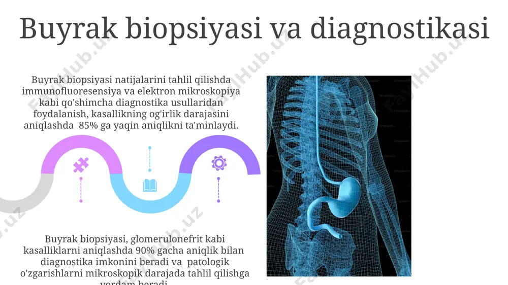 buyrakning tuzilishi. patologiyasi va vazifalari - Page 5