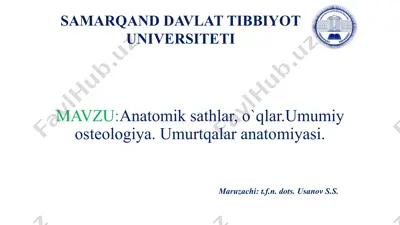anatomik sathlar va o‘qlar — PPTX