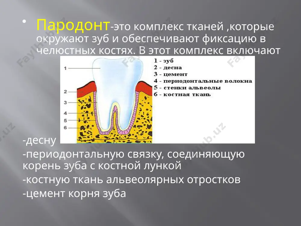 ь воспалительных изменений в десне, степень деструкции костной ткани альвеолярного отростка. состояние тканей пародонта можно учитывать с помощью папиллярно-маргинально-альвеолярного индекса (рма). индекс рма позволяет судить только о начальных изменениях в пародонте, в связи с чем называется индексом гингивита. воспаление оценивают следующим образом: воспаление десневого сосочка — 1 балл; воспаление маргинального края десны — 2 балла; воспаление альвеолярной десны — 3 балла. проводят оценку состояния десны у каждого зуба. цифровое значение индекса рма — сумма показателей состояния маргинального пародонта имеющихся зубов — всегда выражается целым числом. индекс гингивита = сумма показателей• 100 / 3• количество зубов где 3 — наивысшая оценка суммы (получается при сложении всех наивысших оценок состояния маргинального пародонта у каждого зуба). количество зубов берут в зависимости от возраста обследуемого: от 6 до 11 лет число зубов принимают равным 24, от 12 до 14 лет — 28, с 15 лет — 30. оценка степени тяжести гингивита по индексу рма: …