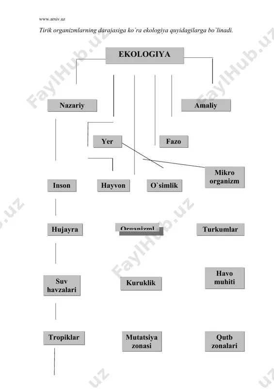 g`risidagi fan ergonomika nomini olgan. bir-biridan uzoq bo`lib ko`ringan bu bilim sohalarini ekologiyaga aloqadorlik birlashtiradi. xozirgi zamon ekologiyasining asosiy vazifalarini quyidagicha tariflash mumkin. 1.hayotning tashkil topish qonuniyatlarini, biosferaga antropogen ta`sir munosabati, qonuniyatlarini tadqiq etish. 2 biologiyaviy boyliklardan oqilona foydalanish, biosferada kechadigan jarayonlarni boshqarish va inson yashaydigan muhitni saqlab qolish. 3.polulyatsiiyalar miqdorini tartibga solish. 4.agrosanoat kompleksida kimyoviy vositalarni kam ishlatilishini ta`minlash. 5.buzilgan tabiiy tizimlarini tiklanishidan chiqqan qishloq xo`jalik ekin maydonlarini yana ishga solish, tuproq hosildorligini, epotizmlar mahsuldorligini tiklash. 6 muhit sifatini saqlash va yaxshilash bo`yicha texnikaviy, huquqiy tadbirlar majmuini takomillashtirish, buning maqsadi, aholi salomatligi darajasini, shuningdek mehnat quvvatini takomillashtirish. 7.yakka-yakka tanlash tizimini tashkil etish. yangi o`zlashtirilgan rayonlarda ishlaydigan shaxslar moslashuvini tezlatuvchi vositalarni ishlab chiqish. 8.xavfli tabiiy voqea-hodisalar va texnikaviy majmualar avariyasi natijasida odamlar nobud bo`lishini va salomatligini susaytirishnii oldini olish. 9.ekologik ongni tarbiyalab, ekologik madaniyatini yaratish; antropoekologiya ta`limi tizimini shakllantirish va ommaviy axborot vositalari ishini faollashtirish. ekologik tizim va biogeosenozlar ekologiyaning …