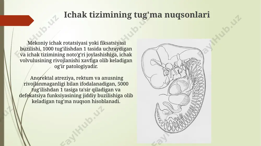 ona qornida rivojlanish patalogiyasi - Page 3