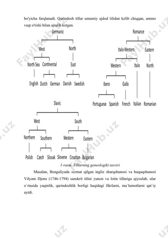 lchovlar (leksika, fonologiya, morfologiya, sintaksis) bo'yicha farqlanadi. qarindosh tillar umumiy ajdod tilidan kelib chiqqan, ammo vaqt o'tishi bilan ajralib ketgan. 1-rasm. tillarning geneologiki tasviri masalan, bengaliyada xizmat qilgan ingliz sharqshunosi va huquqshunosi vilyam djons (1746-1794) sanskrit tilini yunon va lotin tillariga qiyoslab, ular o`rtasida yaqinlik, qarindoshlik borligi haqidagi fikrlarni, ma`lumotlarni qat`iy aytdi.