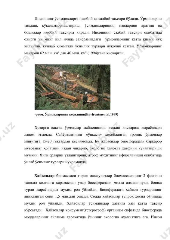 ларни уруштириш орқали кўнгилочар томошалар уюштириш исломда қатъиян ман қилинади. ҳайвонларни тор, қоронғу хоналарда боқиш қораланади. ҳайвонларни сўйиш фақат «ҳалол» йўл билан, уларга ортиқча азият етказмасдан амалга оширилиши лозимлиги таъкидланади. аллоҳ барча жонзотларнинг яратувчиси ва уларни бирдек севиши қуръони карим оятларида баён этилган: « ерда судралиб юрган ҳар бир жонивор, осмонда қанот қоқаётган ҳар бир қуш худди сизлар каби(бизнинг қўл остимиздаги)жамоалардир. китобда(яъни, тақдири-азал китобида) бирон нарсани қўймай (ёзганмиз). кейин ҳаммалари парвардигорлари даргоҳида тўпланурлар» («анъом» , 38). бу ҳикматдан ҳамма жонзотлар аллоҳнинг ягона оиласи вакиллари эканлиги ҳақидаги маъно келиб чиқади. бизнинг уларнинг ичида фойдали, заралиларини ажратишимиз, айниқса, заруратсиз жонзотларни нобуд қилиш ноўрин ишлардандир. фақатгини овқат зарурати учун ов қилишга рухсат берилади. ҳар қандай катта-кичик ҳайвонларни беҳуда ўлдириш, айниқса болаларини овлаш қатъий ман қилинади. исломда фил, айиқ, маймун, сичқон, илон, калтакесак ва бошқа ҳайвонлар гўштининг харом қилиниши алоҳида аҳамият касб этади. исломда нафақат ҳайвонларга озор бериш, ҳатто уларни хақоратлаш ҳам ман қилинади. …
