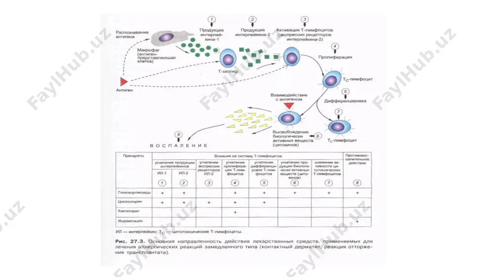 tez rivojlanuvchi allergiyaga qarshi vositalar - Page 5