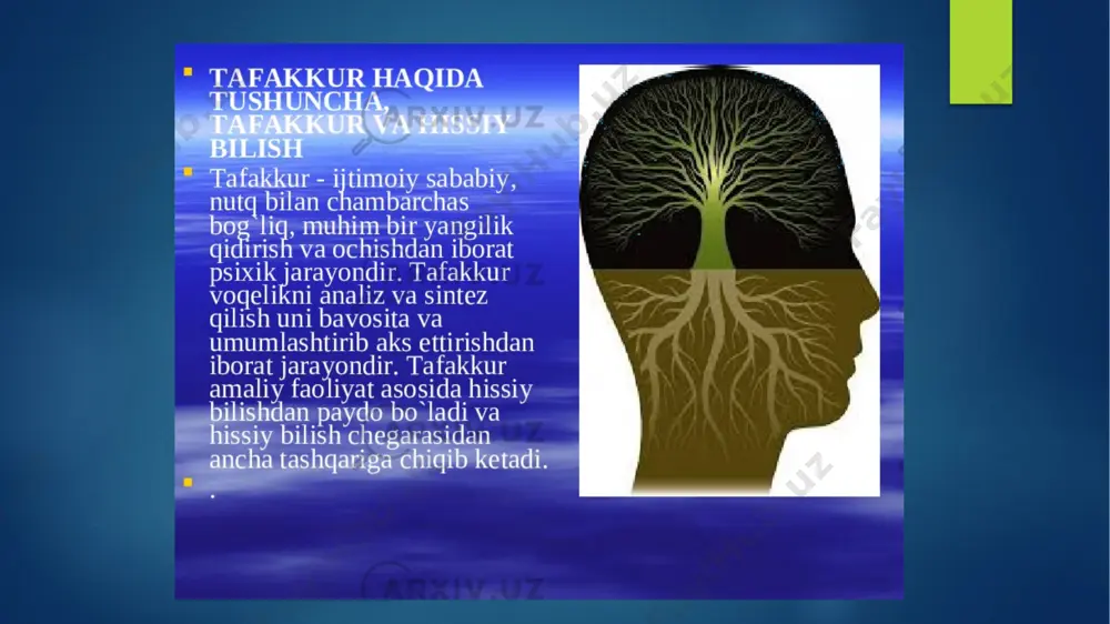 bilish jarayonlari va uning xususiyatlari - Page 2