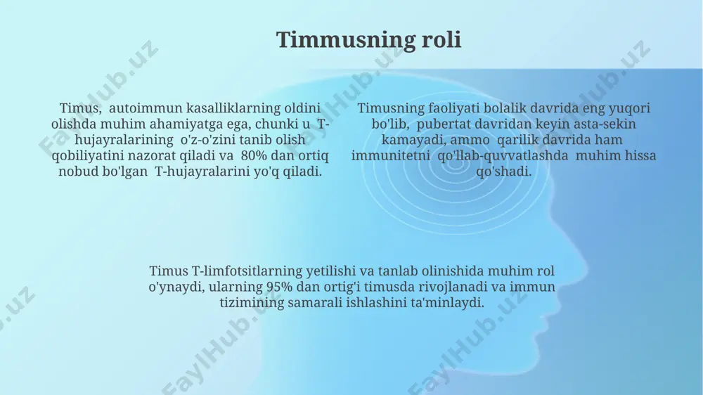 timus tuzulishi, taraqqiyoti va vazifasi - Page 4