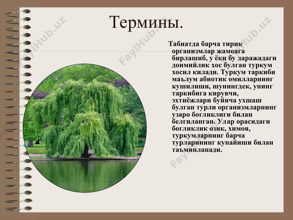 биоценоз тушунчаси - Page 5