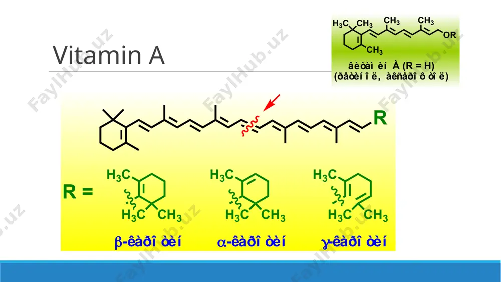 10. vitaminlar ishlab chiqarish. taqdimot 10 bet. - Page 5