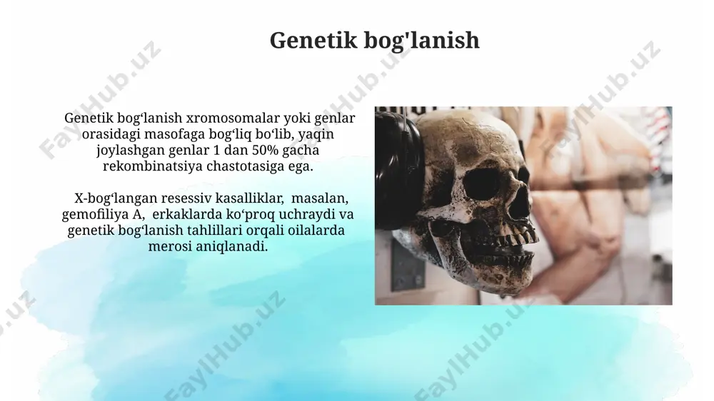 siy kasalliklarning diagnostikasi oilaviy anamnez to'plash va 3 avlodni o'rganish orqali autosomal dominant yoki resessiv irsiy kasalliklarni ajratish mumkin, bu esa keyingi genetik maslahat berishga yordam beradi. irsiy kasalliklar diagnostikasida genetik tekshiruvlar, masalan, kariotip tahlili yoki fish (fluorescent in situ hybridization) texnikasi 50 dan ortiq xromosom buzilishlarini aniqlashga yordam beradi. patologik xususiyatlarning irsiyat mexanizmlari x-xromosomali bog'liq kasalliklar erkaklarda tez-tez uchraydi, chunki ular faqat bitta x xromosomasiga ega va dominant yoki retsessiv allellar ta'sirini namoyon qiladi. ko'plab patologik xususiyatlar autosomal retsessiv yoki dominant irsiyatga ega bo'lib, mos ravishda ikkita yoki bitta mutatsiyaga uchragan allelning mavjudligini talab qiladi. penetrantlik va ekspressivlik penetrantlik, genotiplar 100% hollarda fenotipik ifodalanishini bildirmasa ham, kasallikning rivojlanish ehtimolini ko'rsatadi; masalan, 80% penetrantlik genotipga ega bo'lgan shaxslardan faqat 80 foizida kasallik kuzatiladi. ekspressivlik, bir xil genotipi bo'lgan shaxslarda fenotipik ifodalanishning o'zgaruvchanligini tavsiflaydi; masalan, autizm spektr buzilishiga ega bo'lgan shaxslar turli darajadagi alomatlarni namoyon qilishi mumkin. e'tiboringiz uchun rahmat @taqdimot_robot …