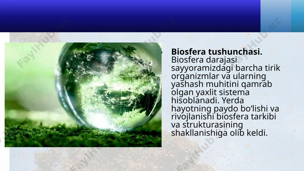 i hayot shakllarining xilma-xilligini va ularning uzoq davr mobaynida saqlanishini ta’minlashdan iborat. biosfera darajasining asosiy yo‘nalishi biologik xilma-xillikning saqlanishi orqali biosferaning dinamik barqarorligini ta’minlashdan iborat. biosfera darajasida yerdagi hayotiy jarayonlarning davomiyligini ta’minlaydigan muhim global jarayonlar sodir bo‘ladi. ularga misol qilib, quyosh energiyasining uzluksiz qabul qilinishi, o‘simliklar tomonidan erkin kislorodning hosil bo‘lishi, ozon qatlamining mavjudligi va karbonat angidrid gazi miqdorining doimiy saqlanishi, tirik organizmlarning zarur kimyoviy moddalar bilan ta’minlanishi hamda turlar va ekotizimlar biologik xilma-xilligining rivojlanishi uchun yetarli shart-sharoitlarning mavjudligini olish mumkin. biosfera tiriklikning eng yuksak darajasi ekanligini to‘liq tushunish uchun uni tashkil etuvchi komponentlar – biogeotsenozlarning hamda shu bio geotsenozlar tarkibiga kiruvchi xilma-xil turlar va populatsiyalarning xususiyatlarini anglab yetish zarur. zamonaviy biologiya biosfera darajasida umumbashariy muammolarni, masalan, yer sayyorasi o‘simliklar qoplami tomonidan kislorod ajralishi intensivligini aniqlash, atmosfera tarkibidagi karbonat angidrid gazi konsentratsiyasining inson faoliyati bilan bog‘liq holda o‘zgarishi, yer yuzida biologik xilma-xillikning hamda biosferaning dinamik va barqaror holatini saqlab qolishga …