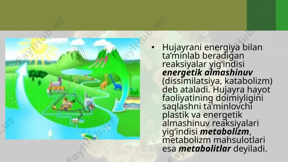 moddalar almashinuvi – hujayra hayotiy faoliyatining asosi. 10 - sinf - Page 4