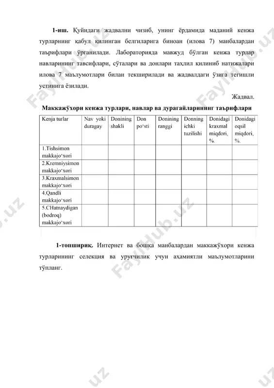 маккажўхорининг кенжа турларини ўрганиш - Page 3