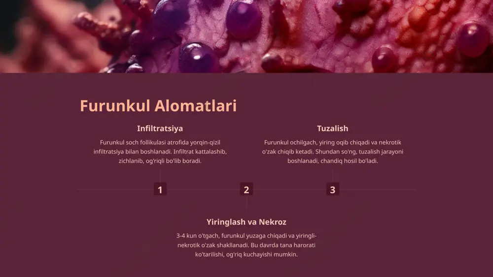 xulosa furunkul — jiddiy teri kasalligi furunkul stafilokokk infektsiyasi natijasida rivojlanadigan, jiddiy asoratlar keltirib chiqarishi mumkin bo'lgan teri kasalligidir. tashxis va davolash muhim furunkul tashxisi va davolash dermatolog-shifokor tomonidan o'tkazilishi kerak, o'z-o'zini davolash tavsiya etilmaydi. oldini olish — asosiy vazifa teri gigienasi, teri jarohatlarini to'g'ri davolash, surunkali kasalliklarni boshqarish furunkul paydo bo'lishining oldini oladi. 10 image1.png image2.png image3.png image4.png image5.png image6.png image7.png image8.png image9.png image10.png image11.png image12.png image13.png image14.png image15.png image16.png