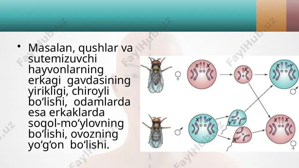 jins genetikasi. 10 - sinf - Page 5