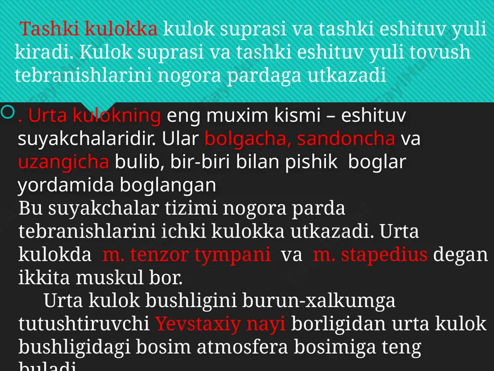 eshituv va vestibulyar analizatorlarning faoliy tavsifi - Page 5