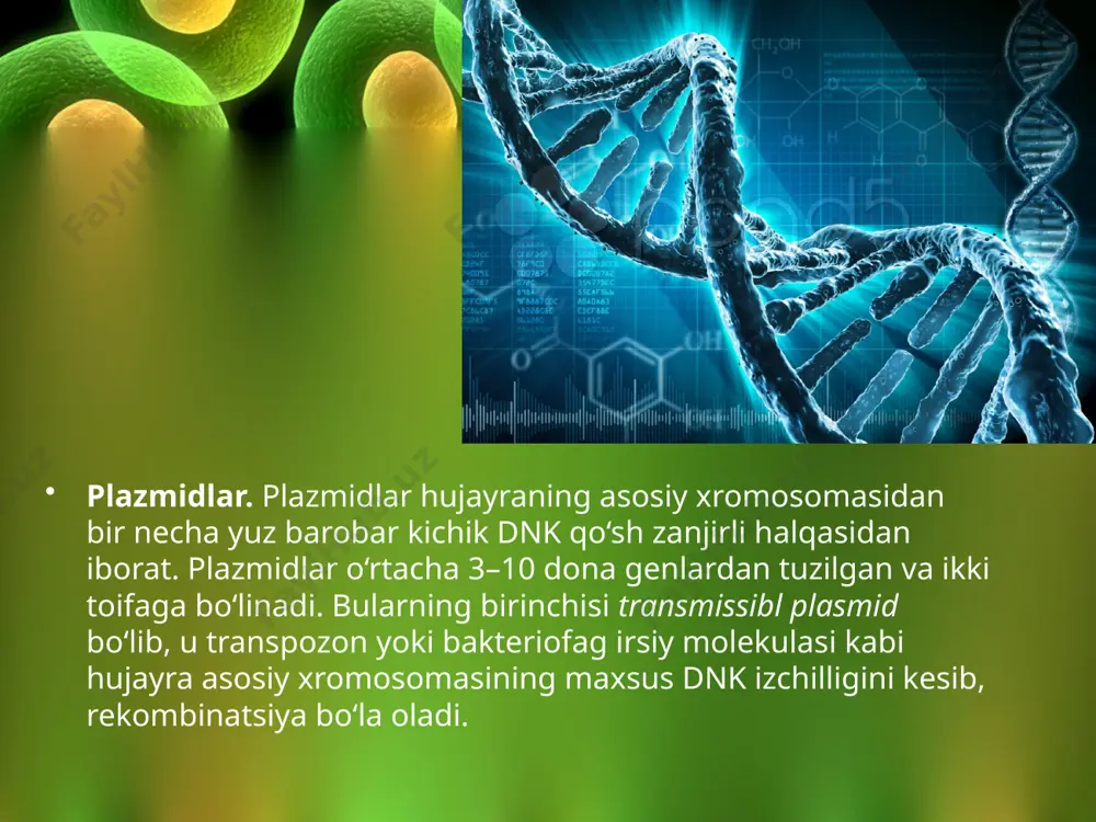hujayraning genetik elementlari. 10 - sinf - Page 4