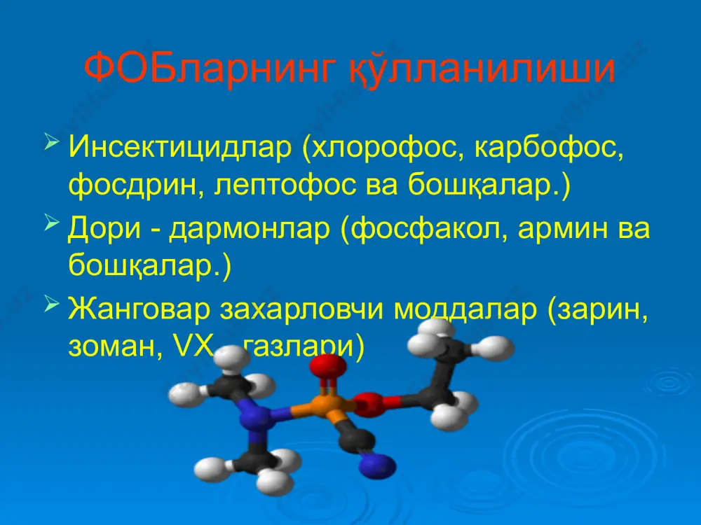 қори даражадаги ўтиб кирувчи хусусияти. (полиапликацион таъсири) «индамасдан танага таъсири» қисқа яширин даври, vx- дан ташқари (терига таъсири 5-6 соатдан сўнг бошланади) жойларда турғун кимёвий заҳарланиш ўчоқларини ҳосил қилиши. узоқ муддатга ногирон қилиб қўйиши (бир неча ойгача). 2. фобларнинг таъсир механизми, турли даражадаги захарланишлардаги патогенези ва клиник манзараси. синапсларнинг мъёрдаги харакати жараёни аксон дендрит ацетилхолиннинг синапс бўшлиғига чиқиши ацетилхолиннинг пуфакчаларни ажралиб чиқиши ацетилхолиннинг ахэ билан парчаланиши ацетилхолиннинг рецепторлар билан боғланиши синапсларнинг меъёрдаги харакати мхр нхр ахэ ха фобларнинг тўғридан-тўғри таъсири мхр нхр ахэ ха фоб не прямое действие фос мхр нхр ахэ ха фос фобларнинг мускаринга хос таъсири (м - холинреактив системаларнинг меъёрдан ортиқ қўзғалиши. парасимпатик нерв системаси, силлиқ мушаклар ва без хужайраларининг меъёрдан ортиқ қўзғалиши билан ифодаланади. клиник манзараси: -кўзда: миоз, аккомадацияни қисқариши, қоронғуда ва узоқни кўриш функциясини бузулиши кузатилади. -ўпкада: бронхларни қисилиши, хансираш, бўғилиш ва балғамни кўп миқдорда ажралиши кузатилади. -юракда: брадикардия, қон босимининг пасайиши. -хазм қилиш органларида: …